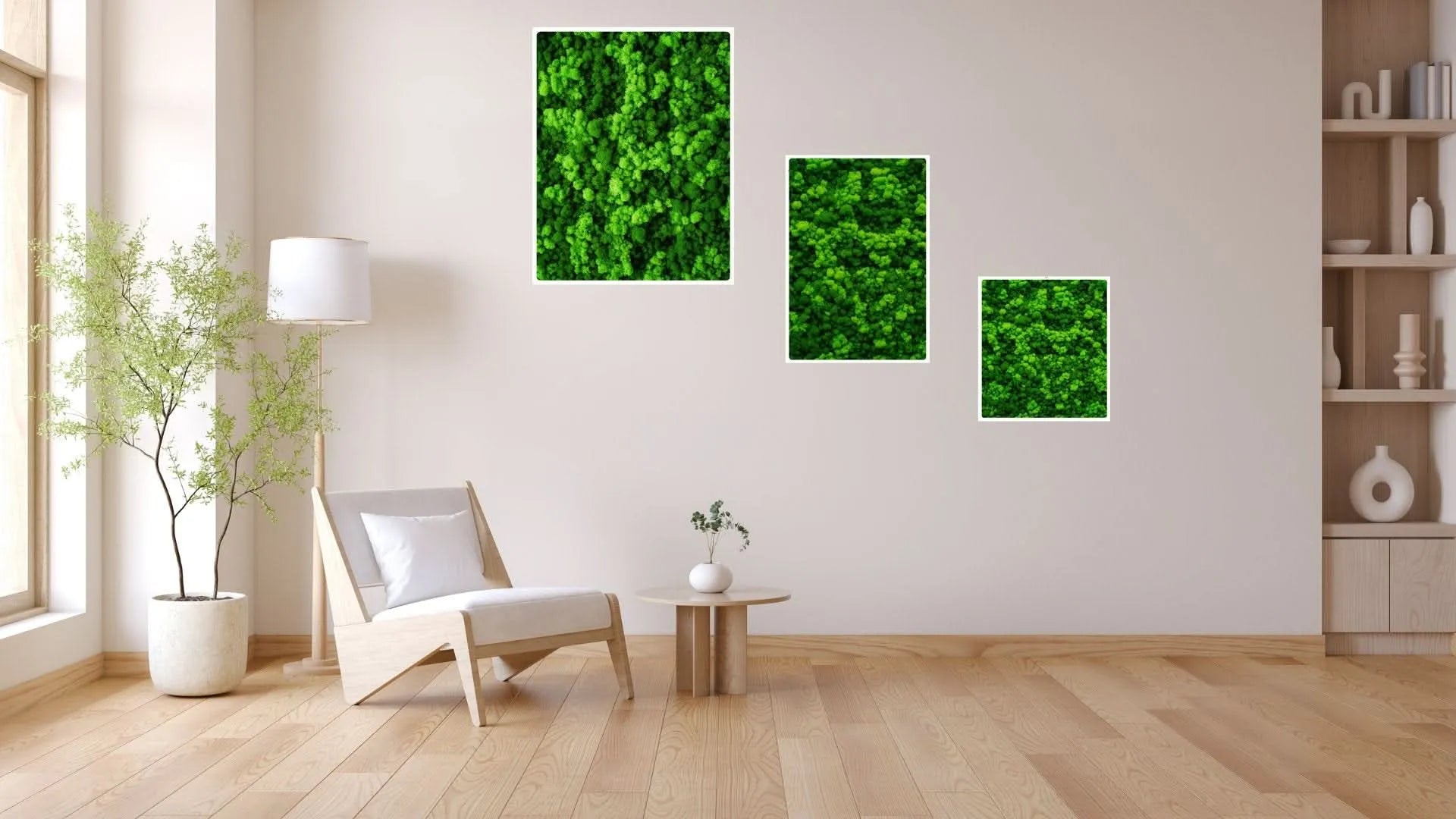 Quadri Rettangolari di Muschio e Lichene