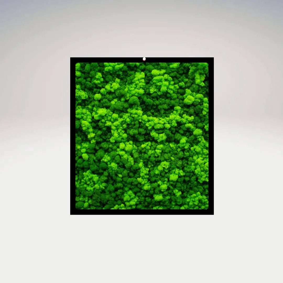 Quadri Rettangolari di Muschio e Lichene