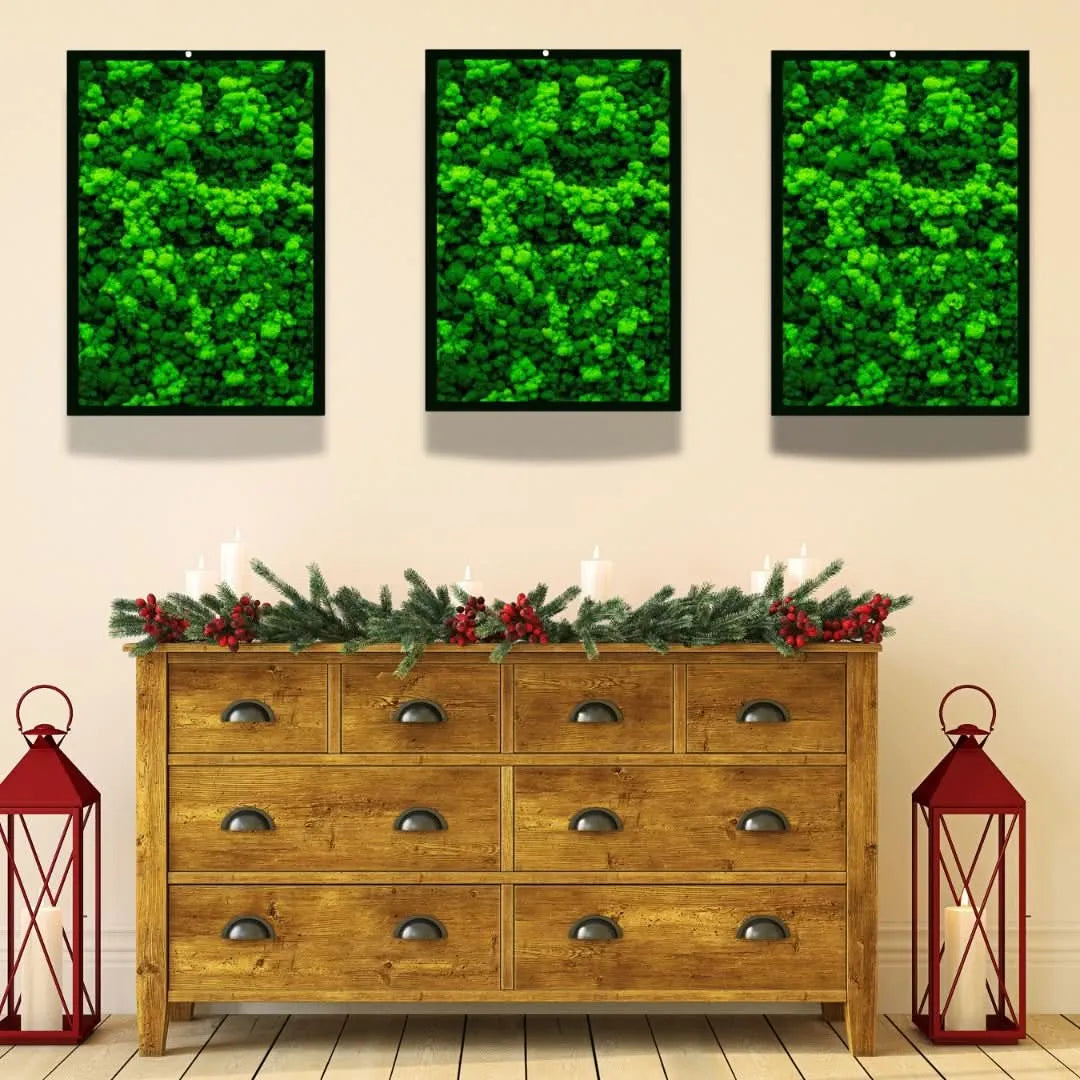 Quadri Rettangolari di Muschio e Lichene