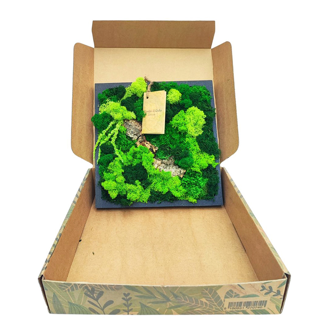 Quadro di Muschio e Licheni Stabilizzati 30x30 cm