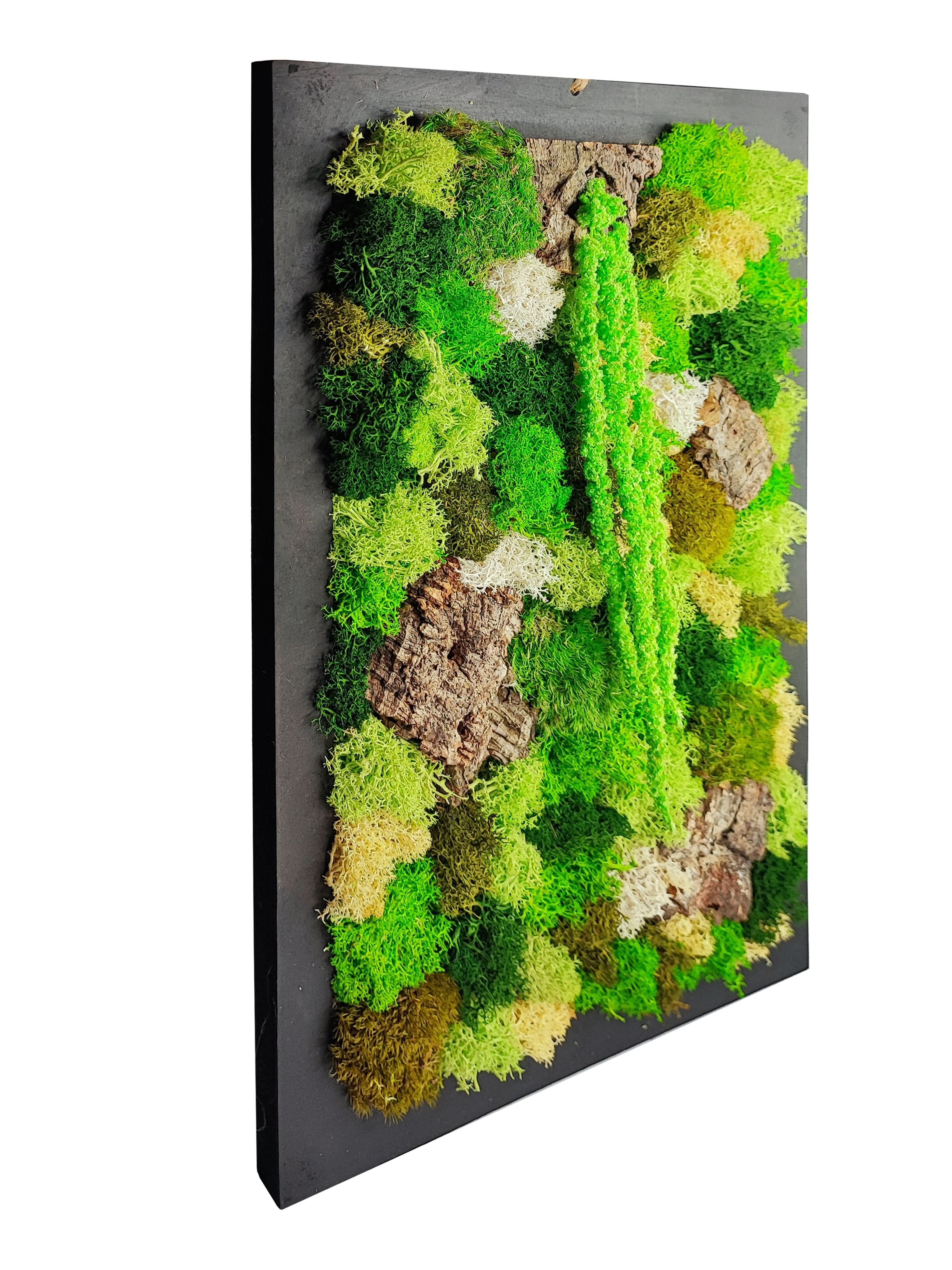 Quadro Rettangolare di Muschio e Licheni Stabilizzati "EcoMosaico" dimensioni  35x50