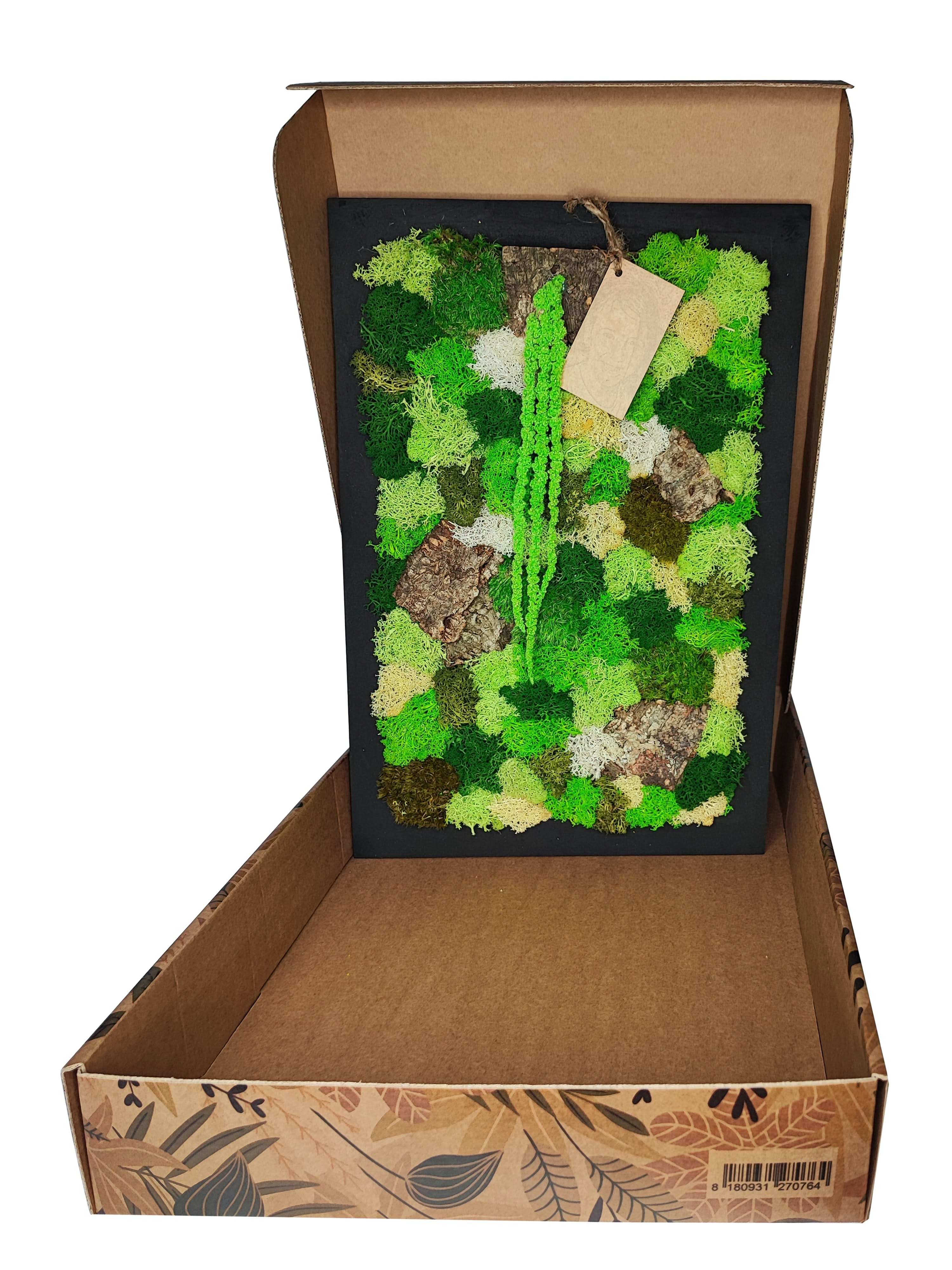 Quadro Rettangolare di Muschio e Licheni Stabilizzati "EcoMosaico" dimensioni  35x50