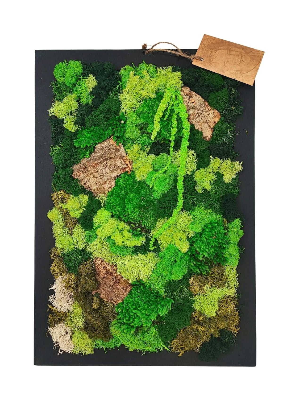 Quadro Rettangolare di Muschio e Licheni Stabilizzati  30x40 cm edizione festa dei nonni