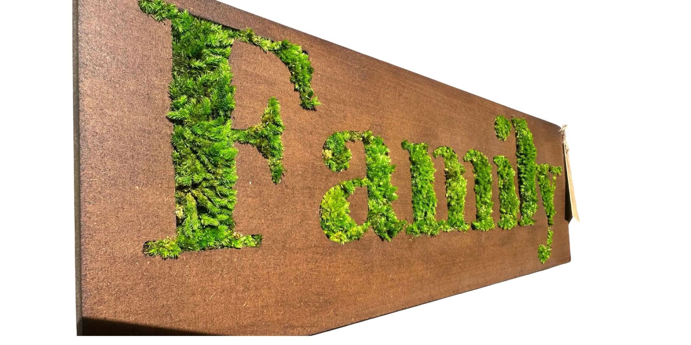 Quadro Rettangolare "Family" muschio stabilizzato