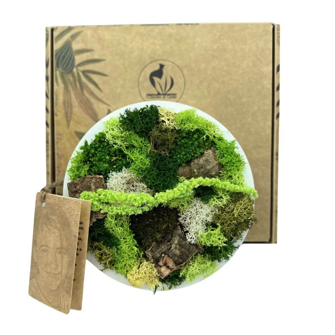 Quadro stabilizzato mini tondo bianco