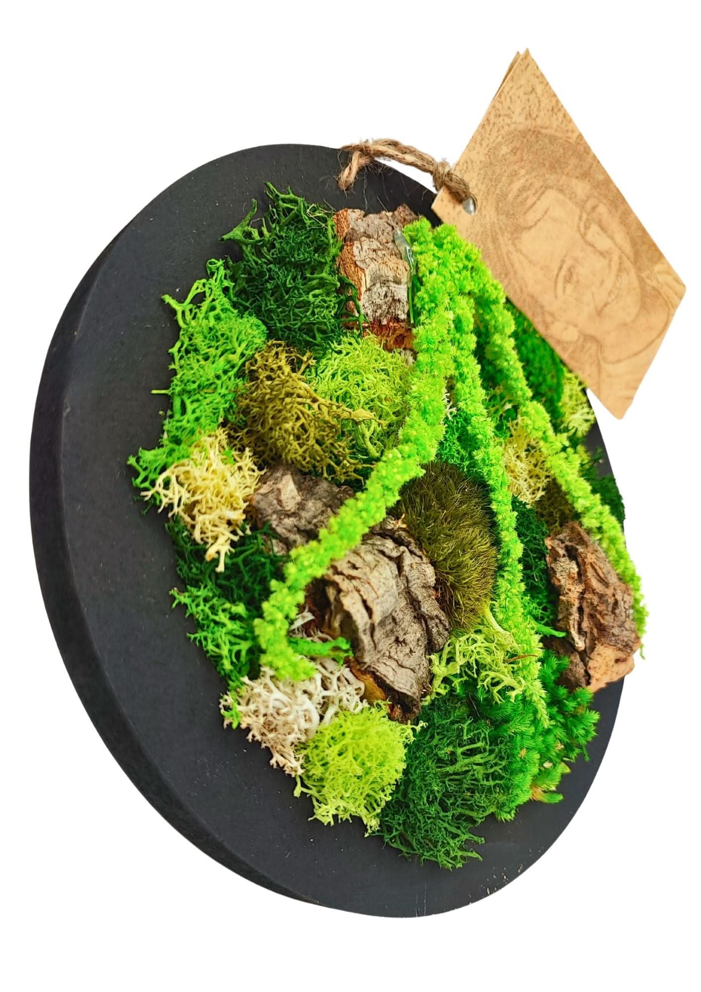 Quadro tondo nero di muschio e licheni