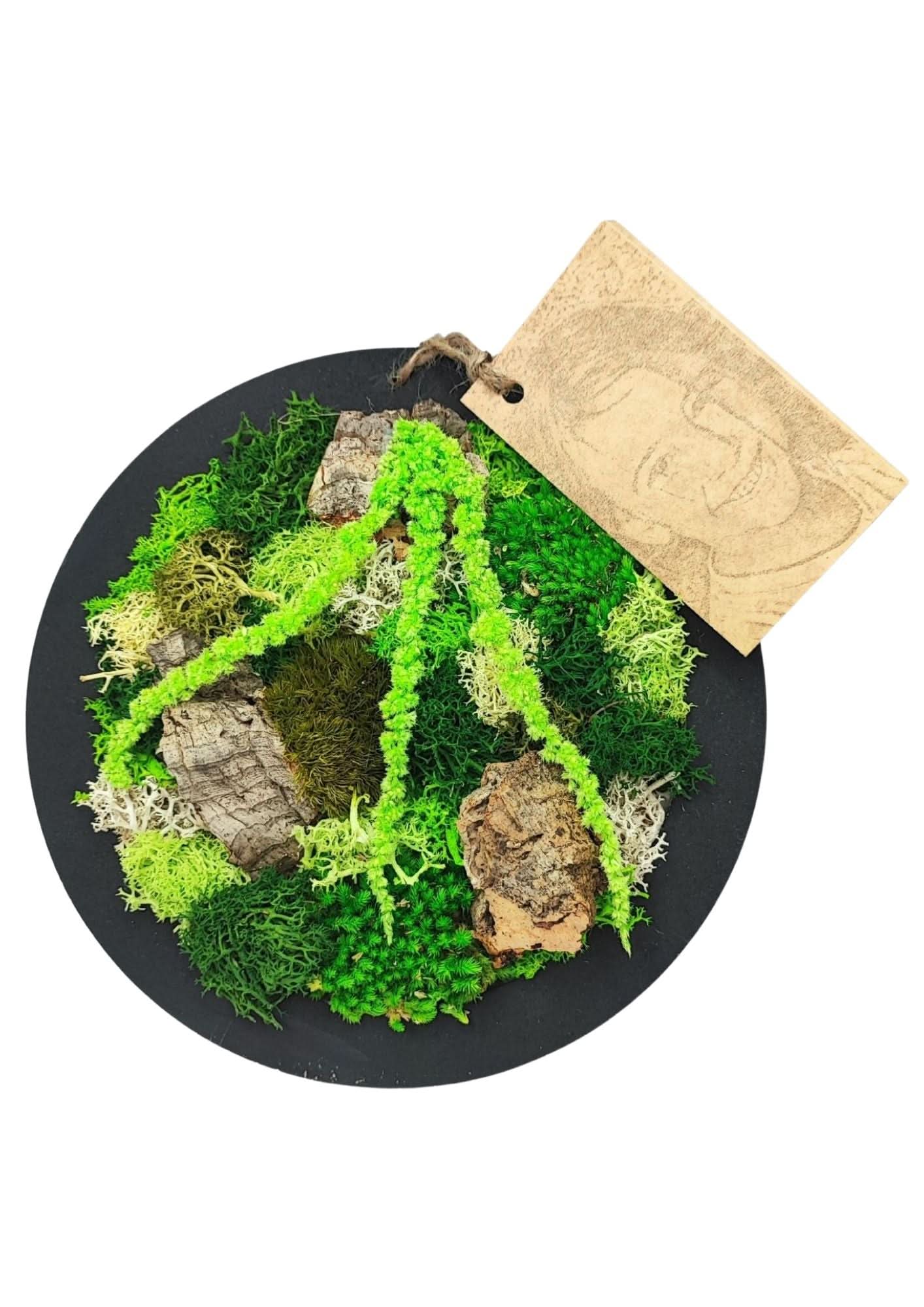 Quadro tondo nero di muschio e licheni