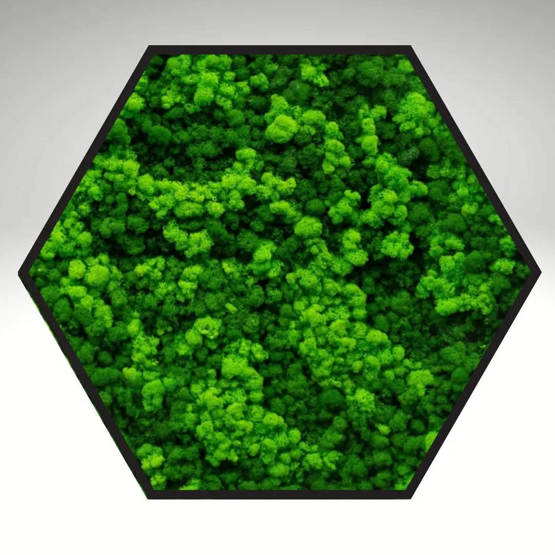 Quadro verde preservato Esagono Viridem