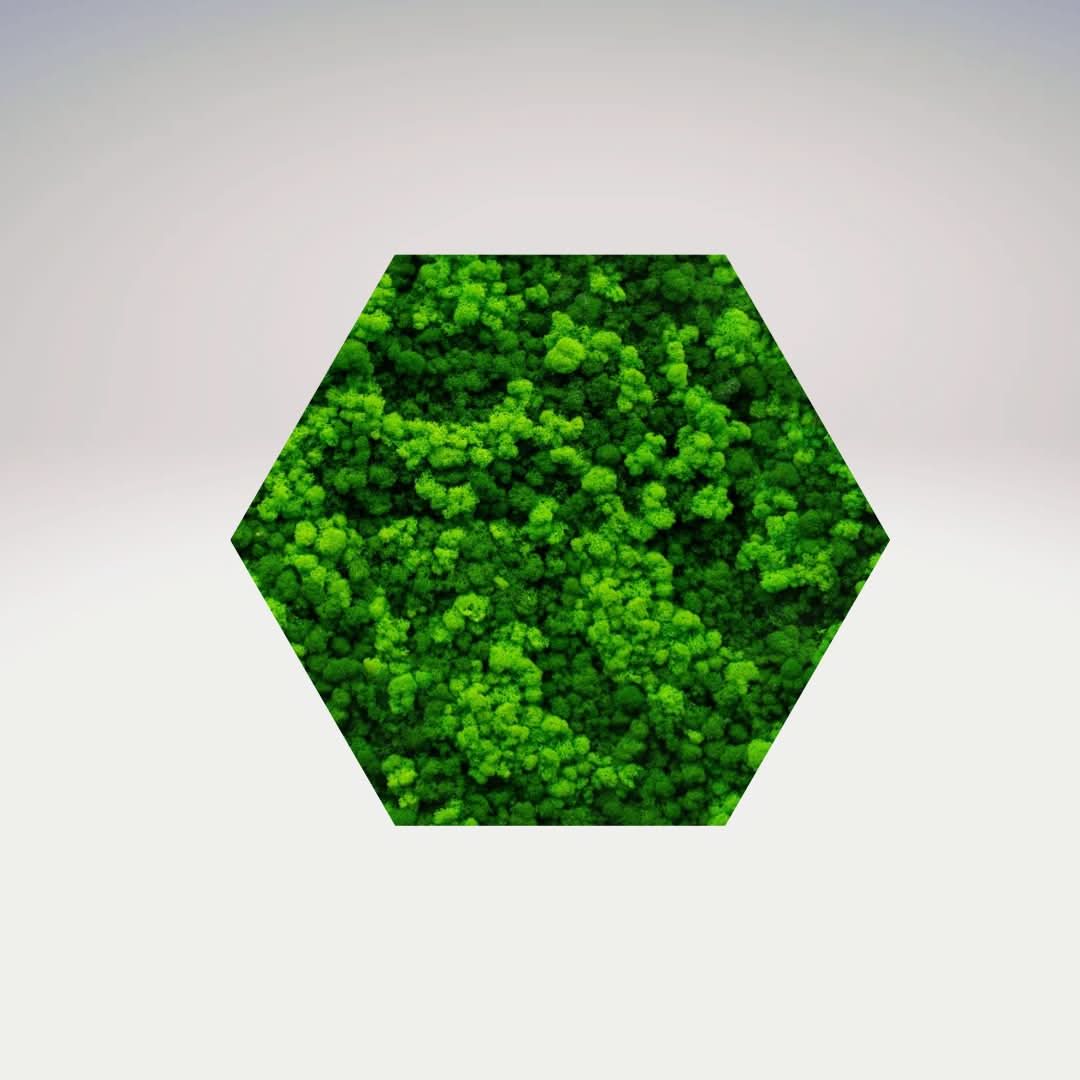 Quadro verde preservato Esagono Viridem