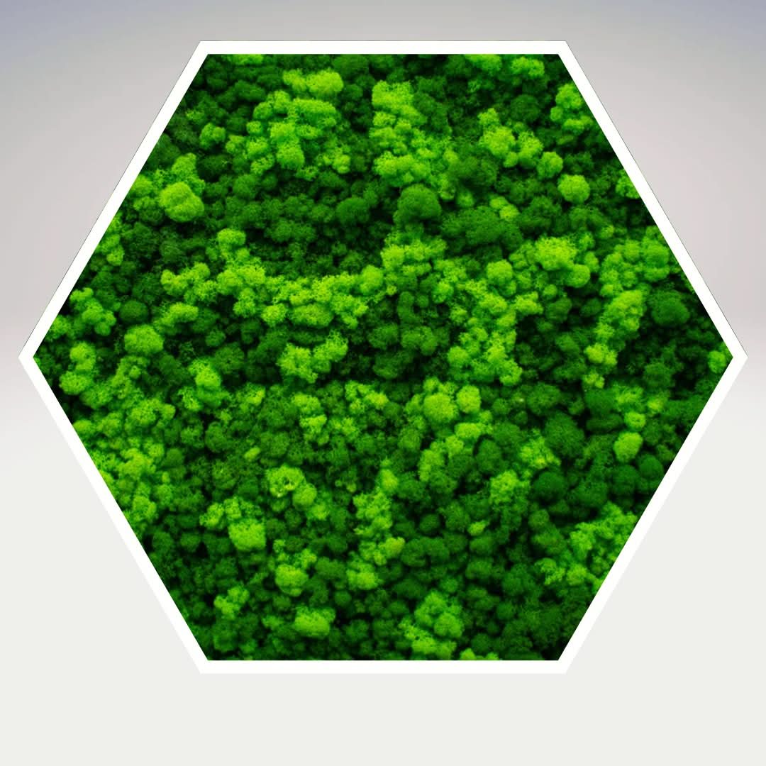 Quadro verde preservato Esagono Viridem