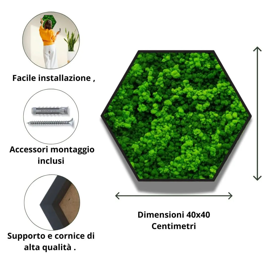 Quadro verde preservato Esagono Viridem