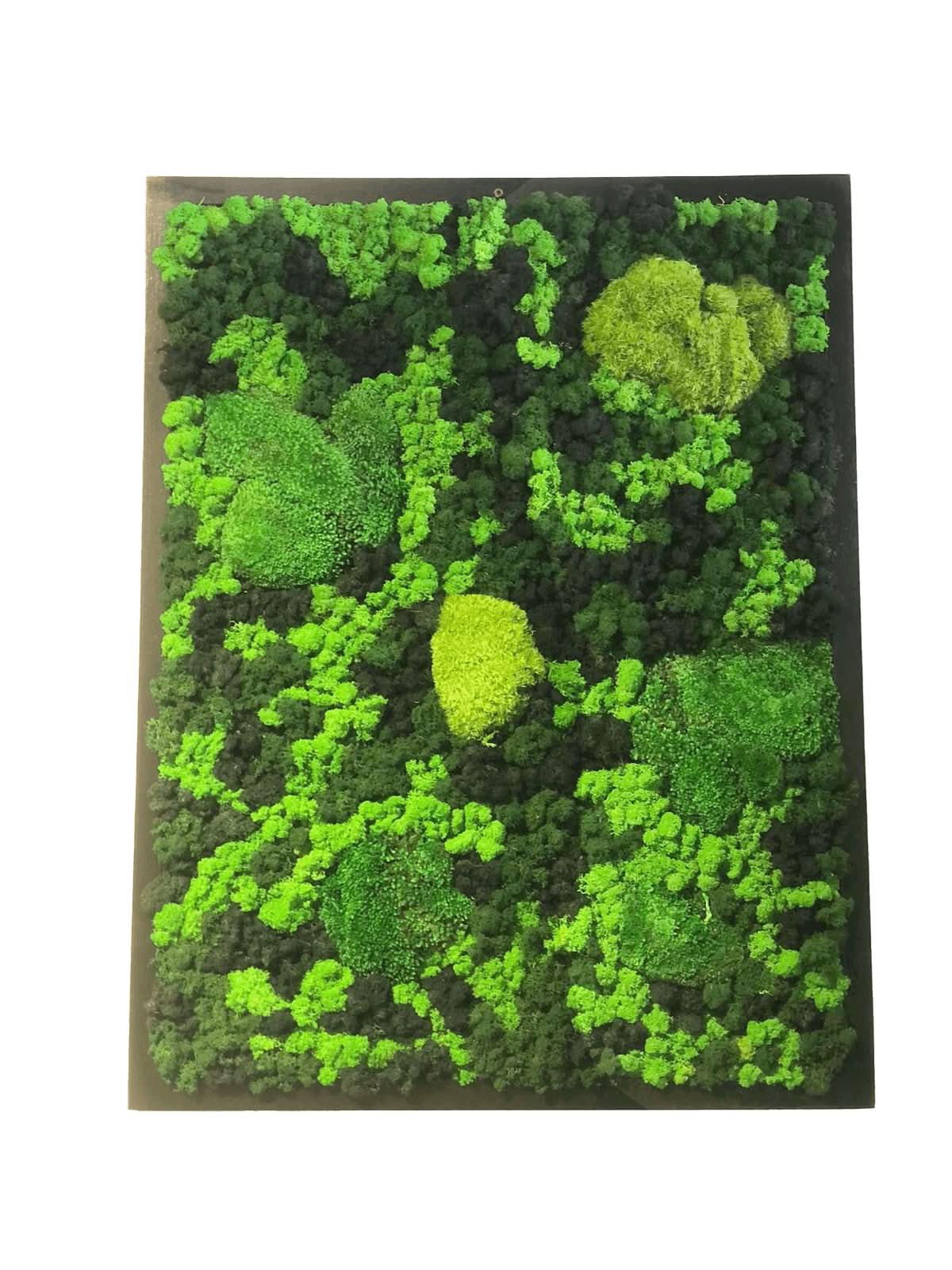 Quadro Vista Bosco  di Verde stabilizzato 90x70 cm