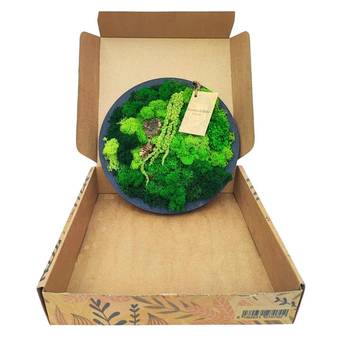 Quadro Tondo di verde stabilizzato di muschi e licheni 30 cm.