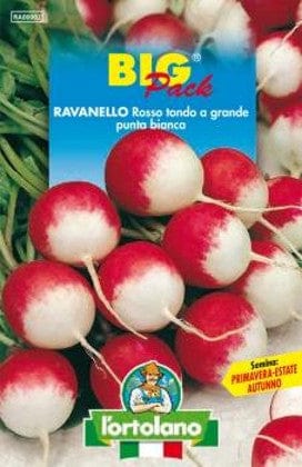 Ravanello Rosso Tondo a Grande Punta Bianca - Big Pack - L'Ortolano