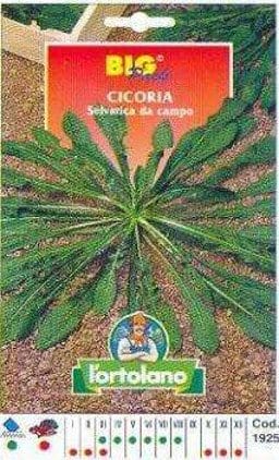 Rucola Selvatica da Campo in semi - L'ortolano