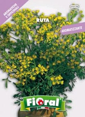 Ruta - Sementi pianta Officinale - Fioral
