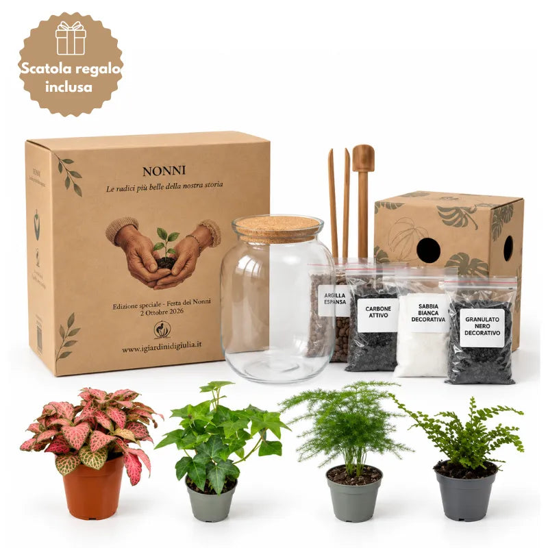 Kit Fai Da Te Terrarium Medio Completo edizione festa dei nonni