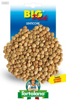 Seme di Lenticchia - L'Ortolano