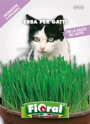 Semi di Erba per gatti - Fioral