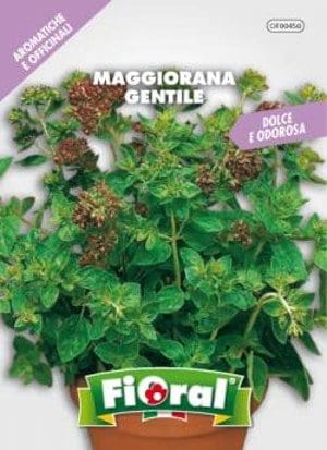Semi Di Maggiorna Gentile - Aromatica Bustina Sementi
