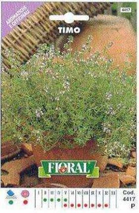 Semi Di Timo - Busta Sementi Aromatica