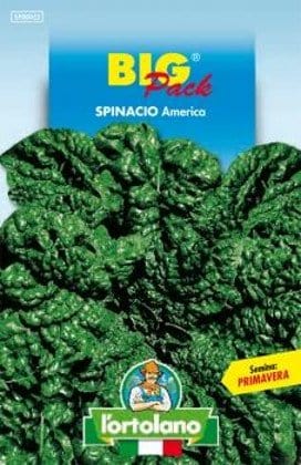 Spinacio America Big Pack - L'Ortolano