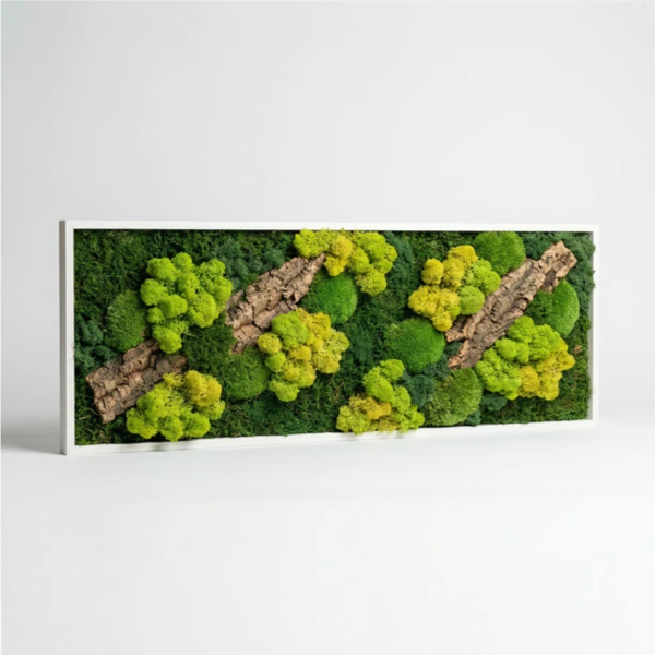 Quadro Rettangolare Muschio e Licheni Stabilizzati con Sughero – 90x30 cm | Cornice Bianca o Nera