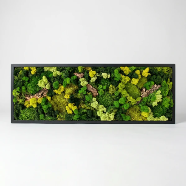 Quadro Rettangolare Muschio e Licheni Stabilizzati con Sughero – 90x30 cm | Cornice Bianca o Nera
