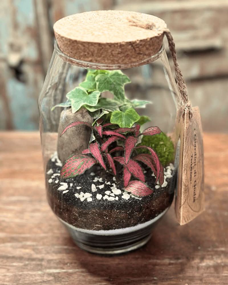 Terrarium Alessia 058