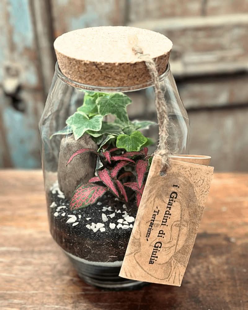 Terrarium Alessia 058