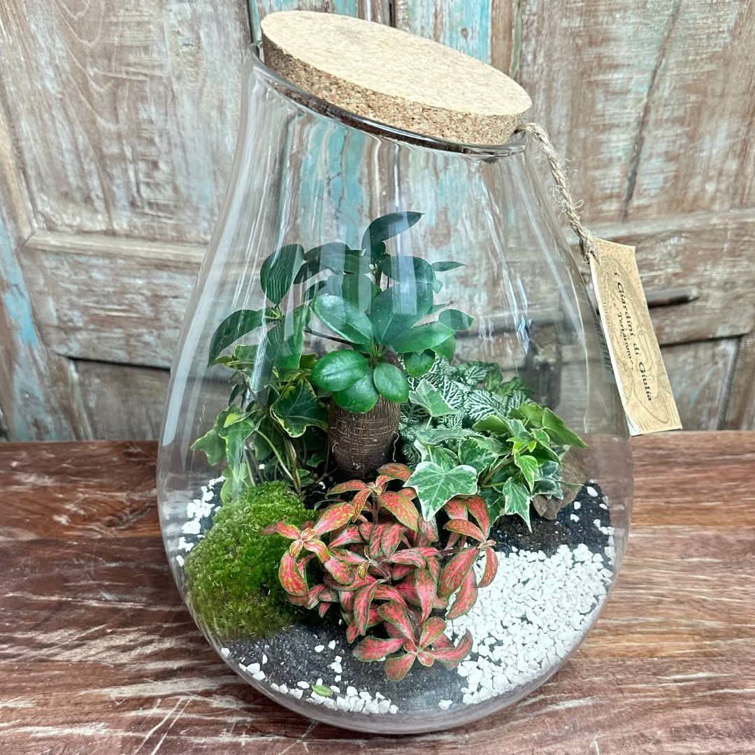 Terrarium Coraline 002