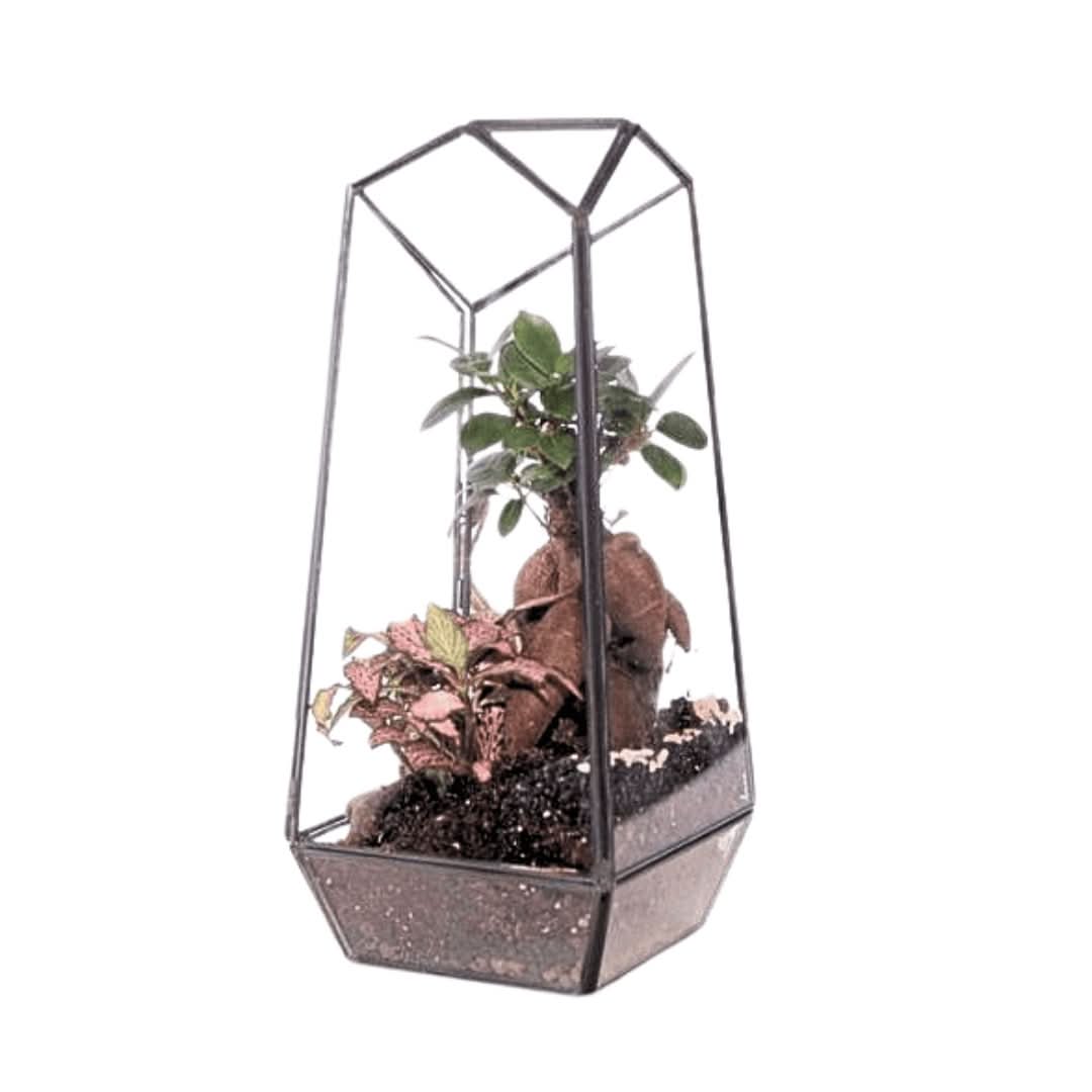 Terrarium Diamante 068V