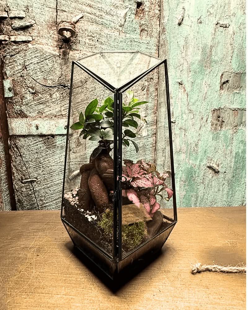 Terrarium Diamante 068V
