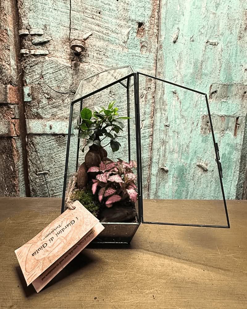Terrarium Diamante 068V