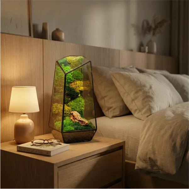 Terrarium Diamante con Muschio Stabilizzato