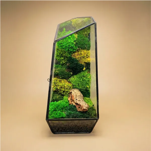 Terrarium Diamante con Muschio Stabilizzato