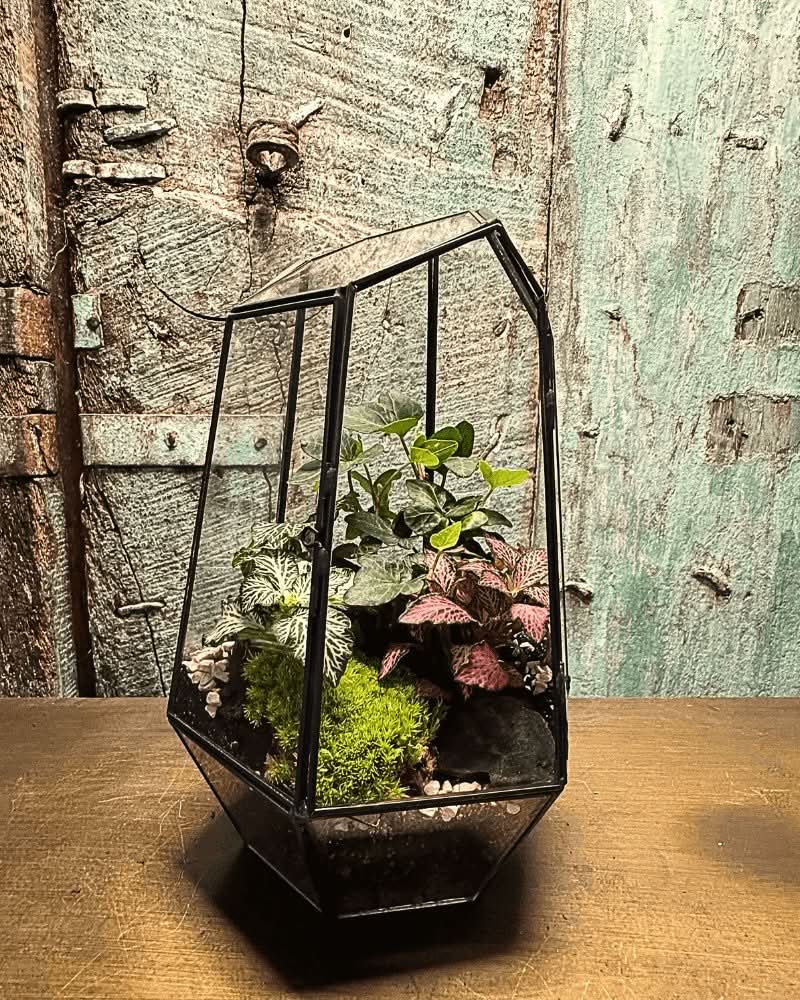 Terrarium Florine 067V