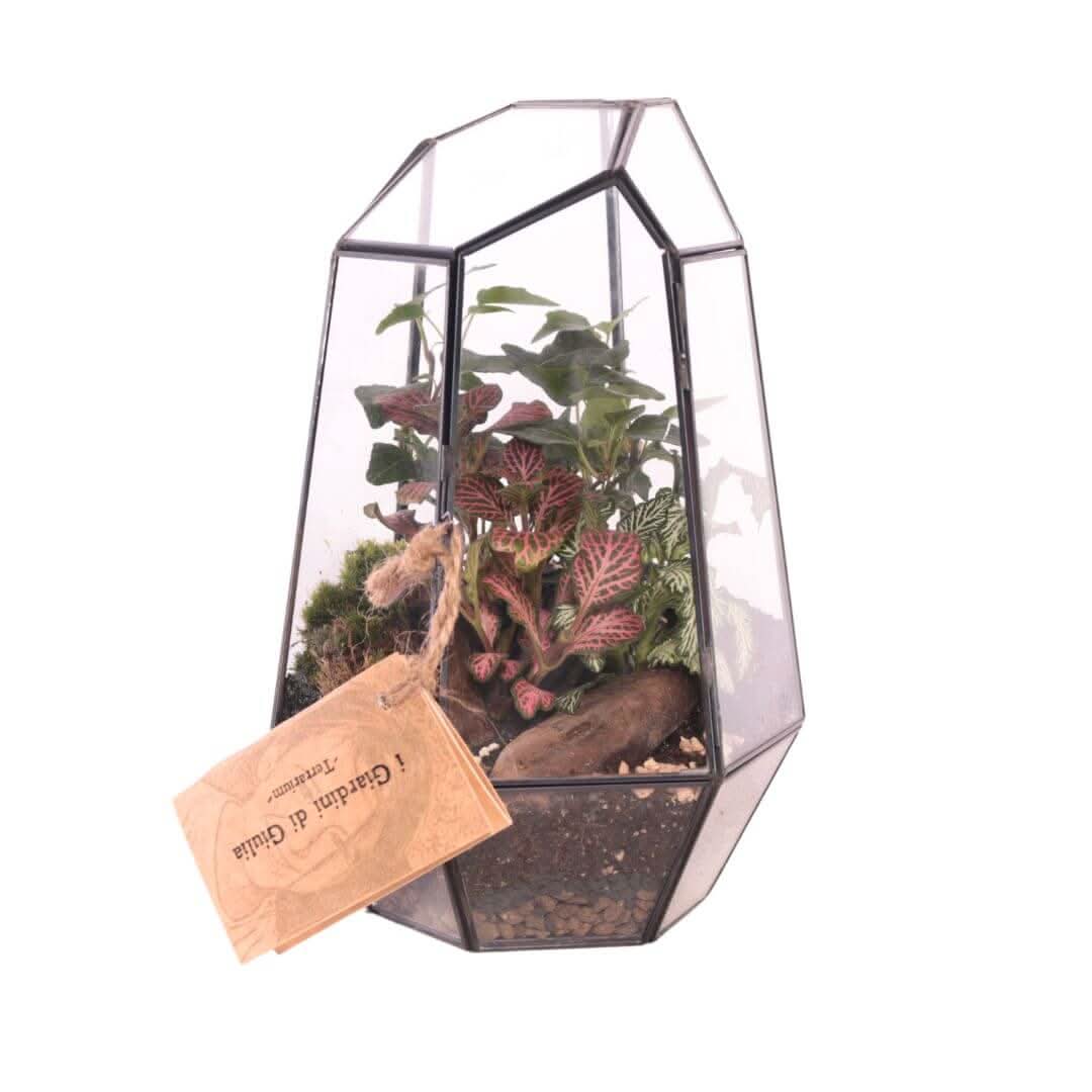 Terrarium Florine 067V