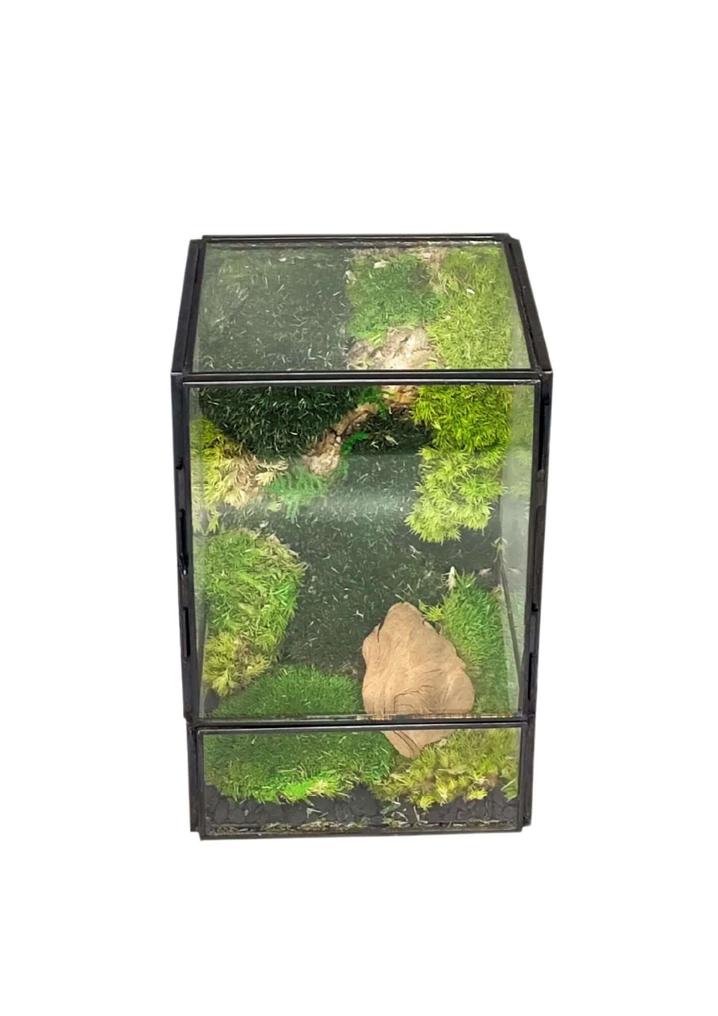 Terrarium geometrico Angolo di Vita 2TR074