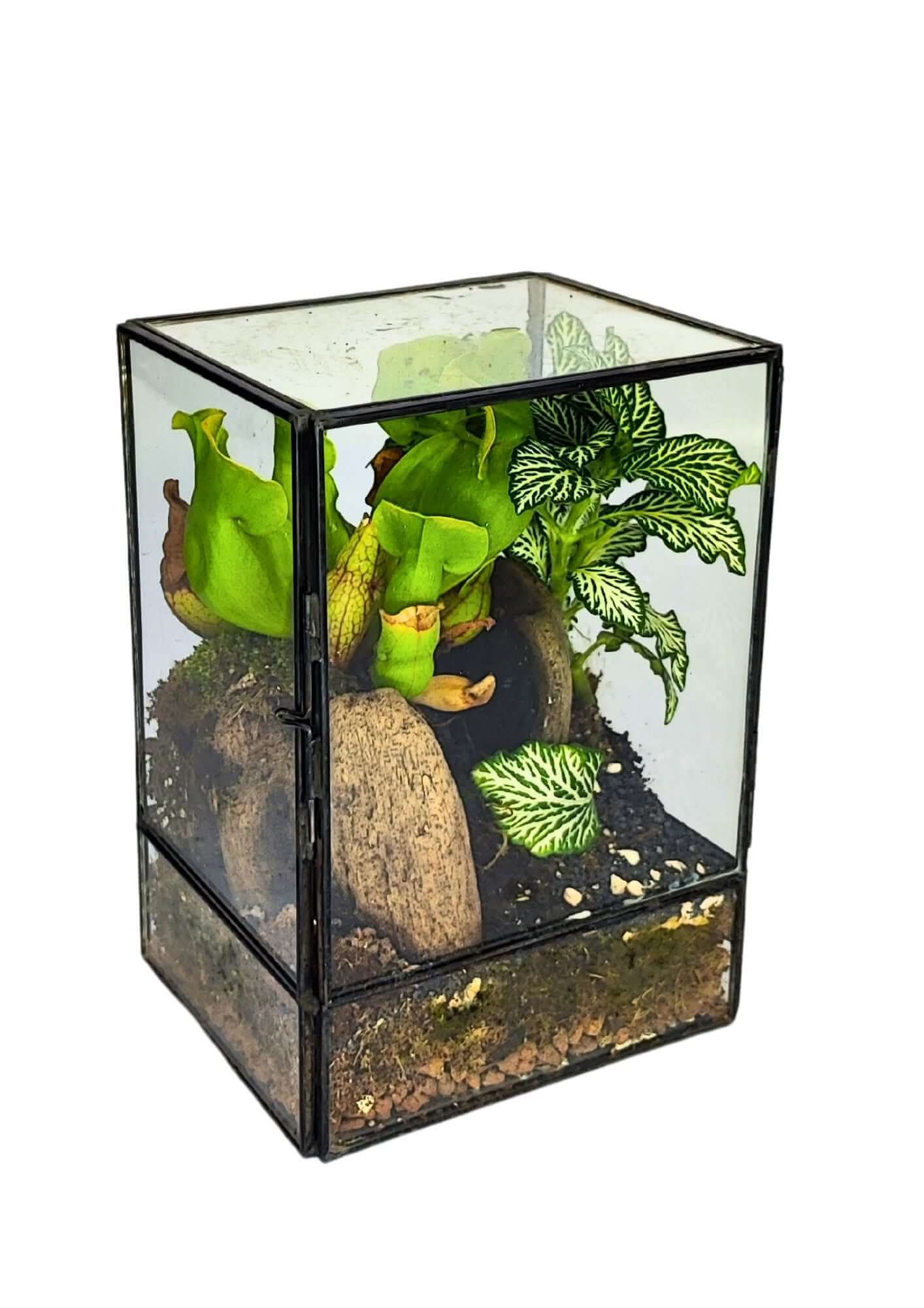 Terrarium geometrico Angolo Verde 2TR075