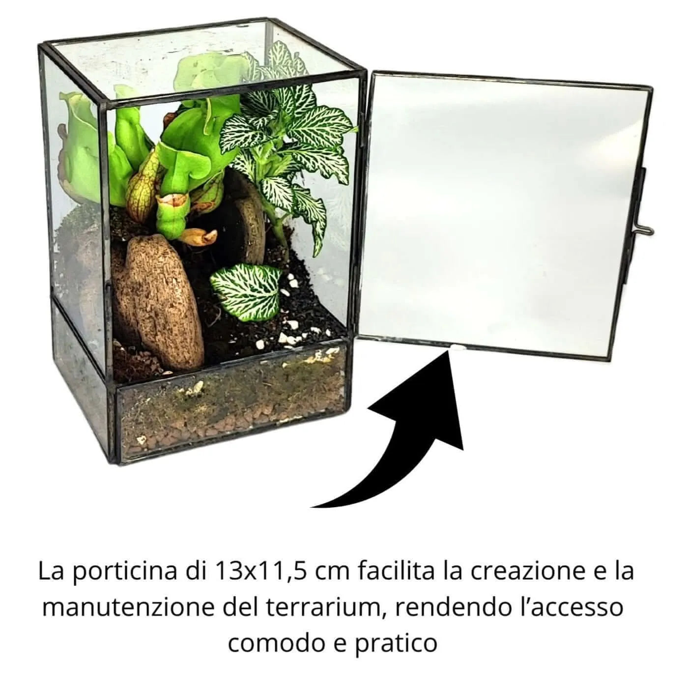 Terrarium geometrico Angolo Verde 2TR075