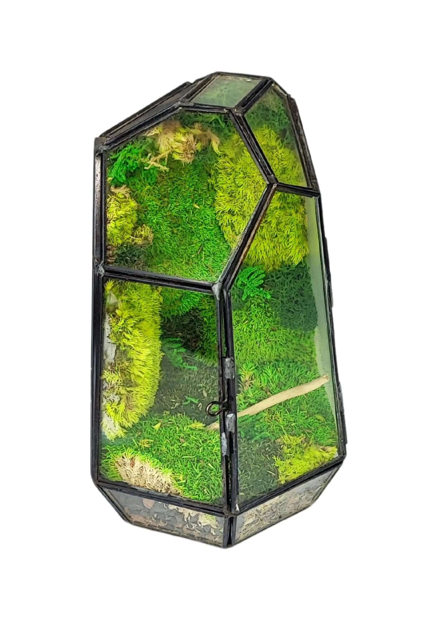 Terrarium geometrico Cristallo di Smeraldo 2TR072