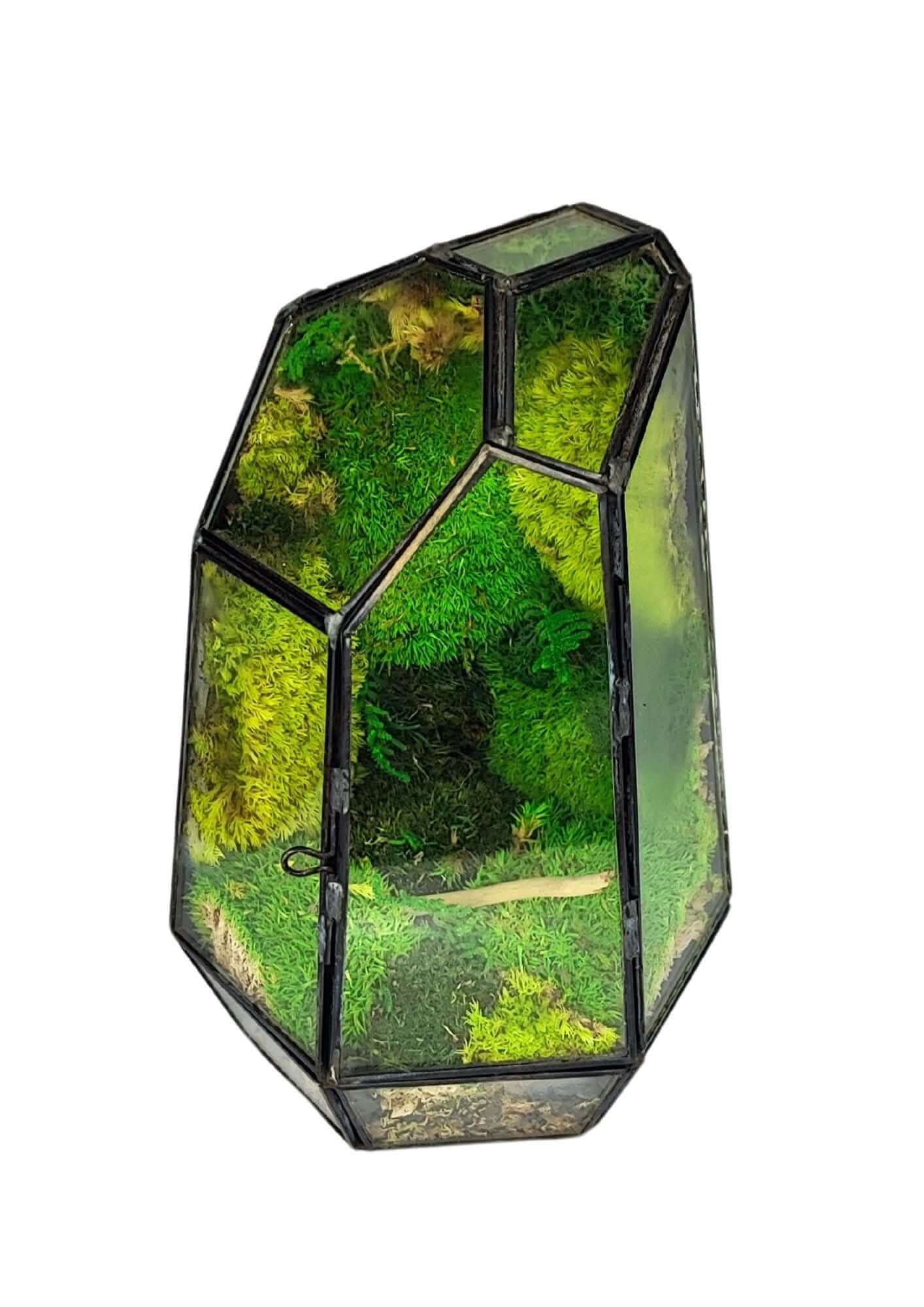 Terrarium geometrico Cristallo di Smeraldo 2TR072