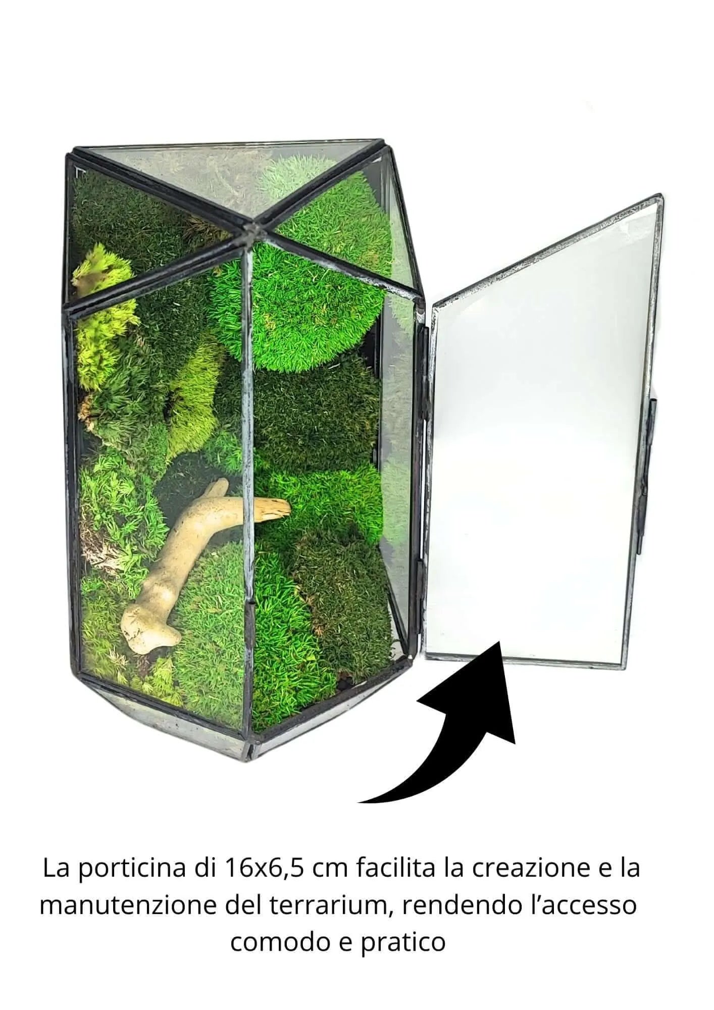 Terrarium geometrico Eden di Vetro 2TR064