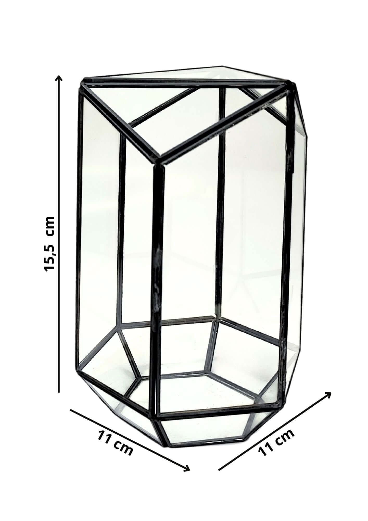 Terrarium geometrico Eden di Vetro 2TR064
