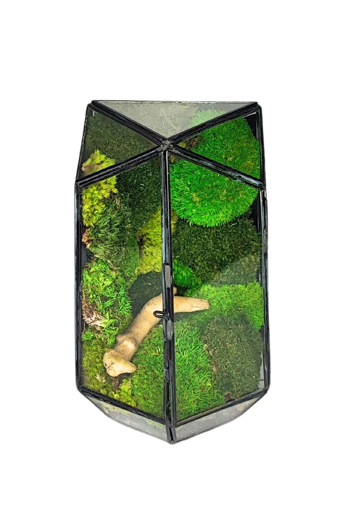 Terrarium geometrico Eden di Vetro 2TR064