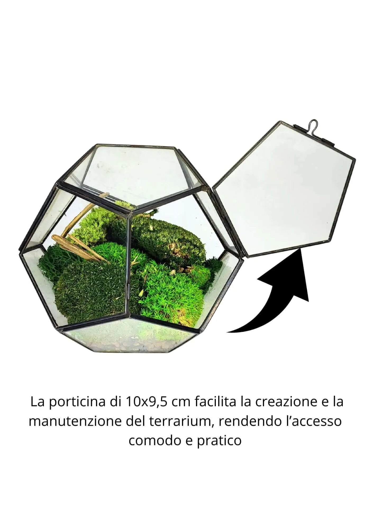 Terrarium geometrico Giardino di Cristallo 2TR070