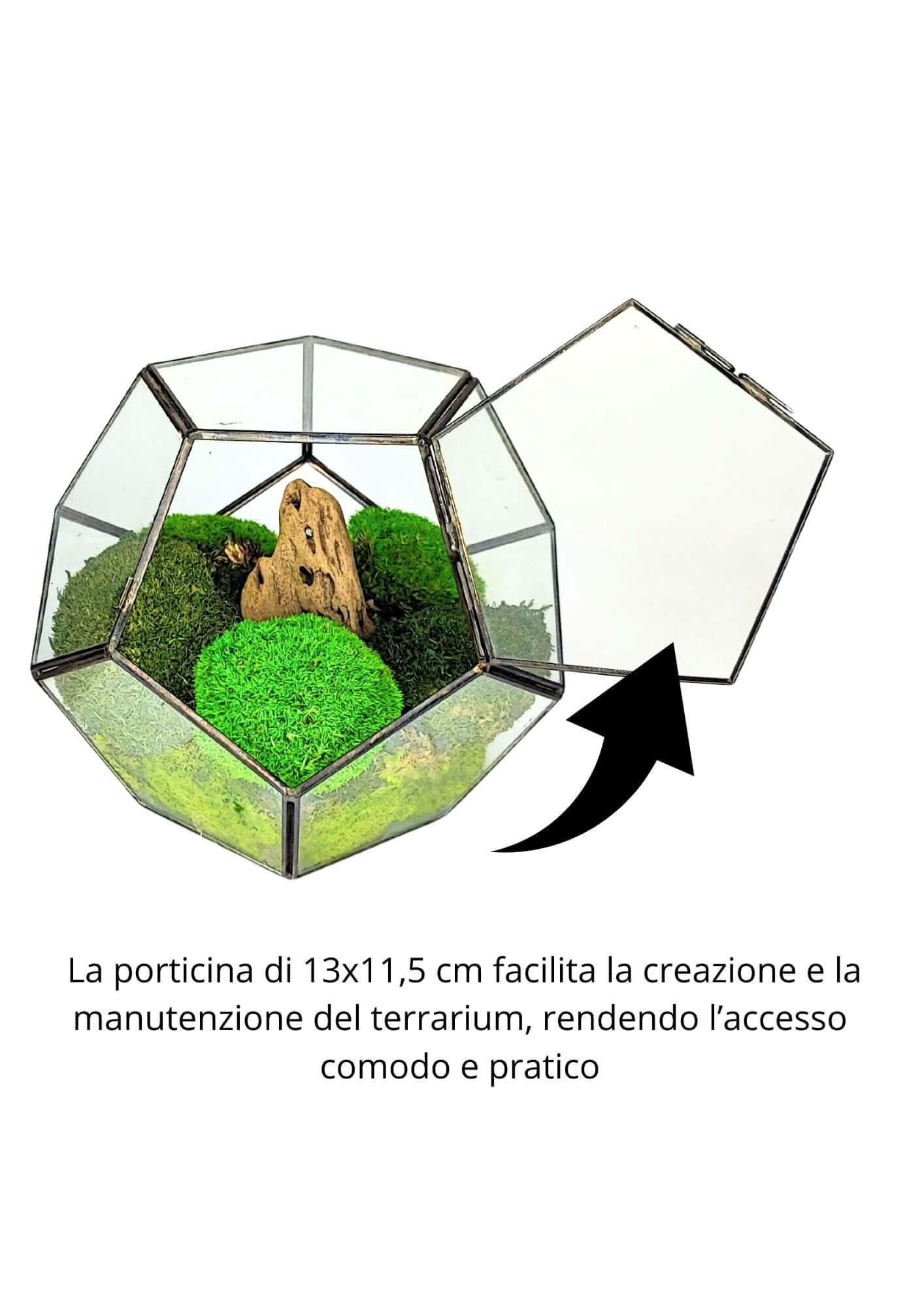 Terrarium geometrico Habitat Incantato 2TR071