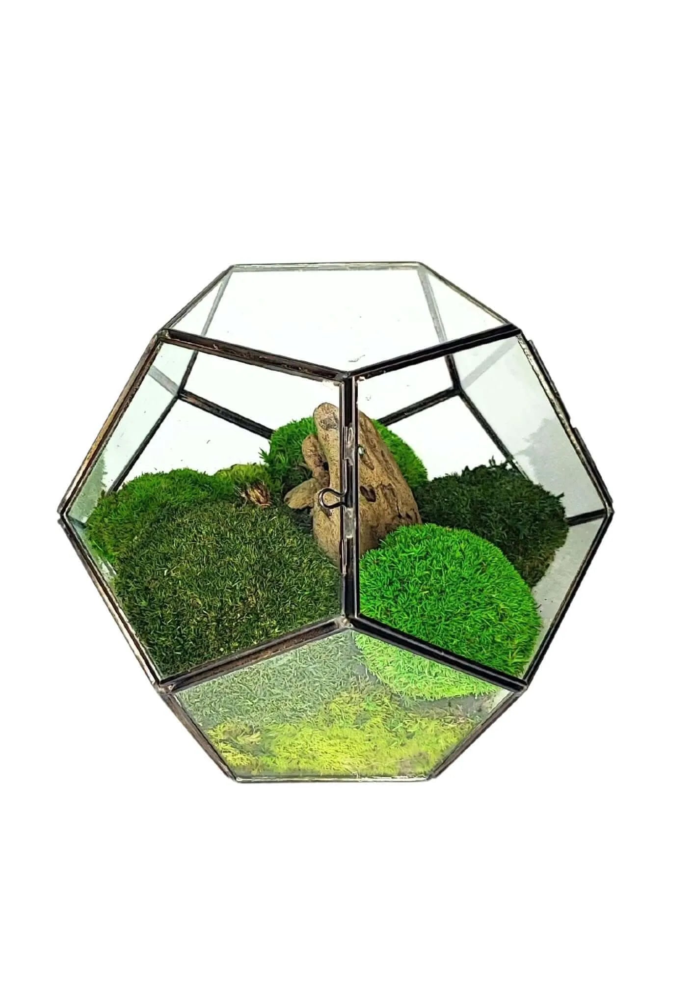 Terrarium geometrico Habitat Incantato 2TR071