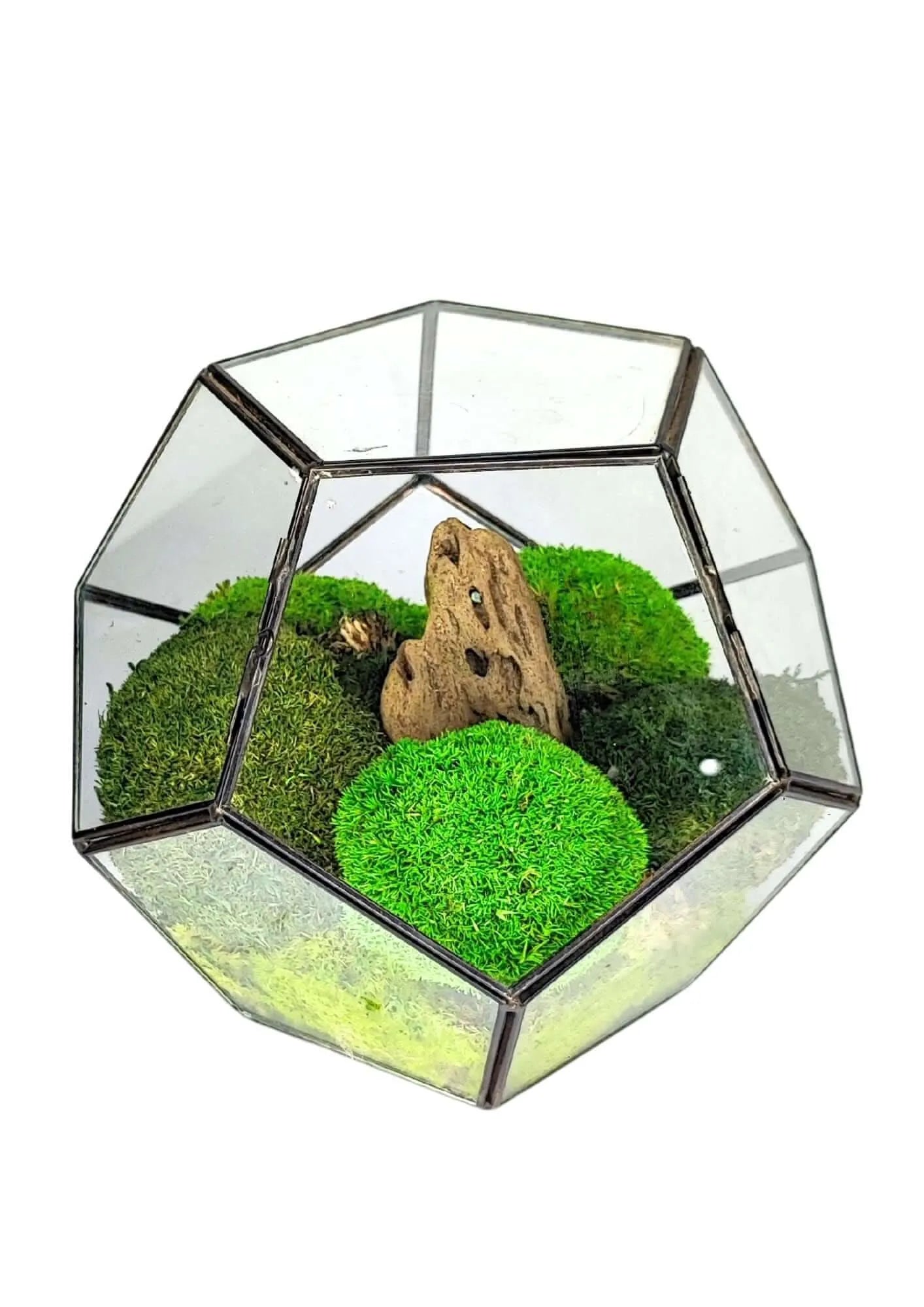 Terrarium geometrico Habitat Incantato 2TR071